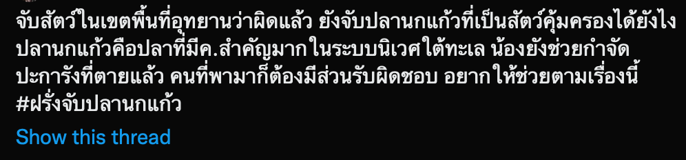 #ฝรั่งจับปลานกแก้ว ติดเทรนด์ทวีตอันดับ 1 - อส.เร่งดำเนินคดีแล้ว 