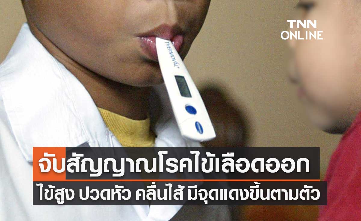 สังเกตอาการต่อไปนี้ คุณอาจเป็น "โรคไข้เลือดออก"
