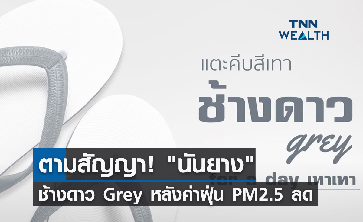 ตามสัญญา! "นันยาง" ช้างดาว Grey หลังค่าฝุ่น PM2.5 ลด