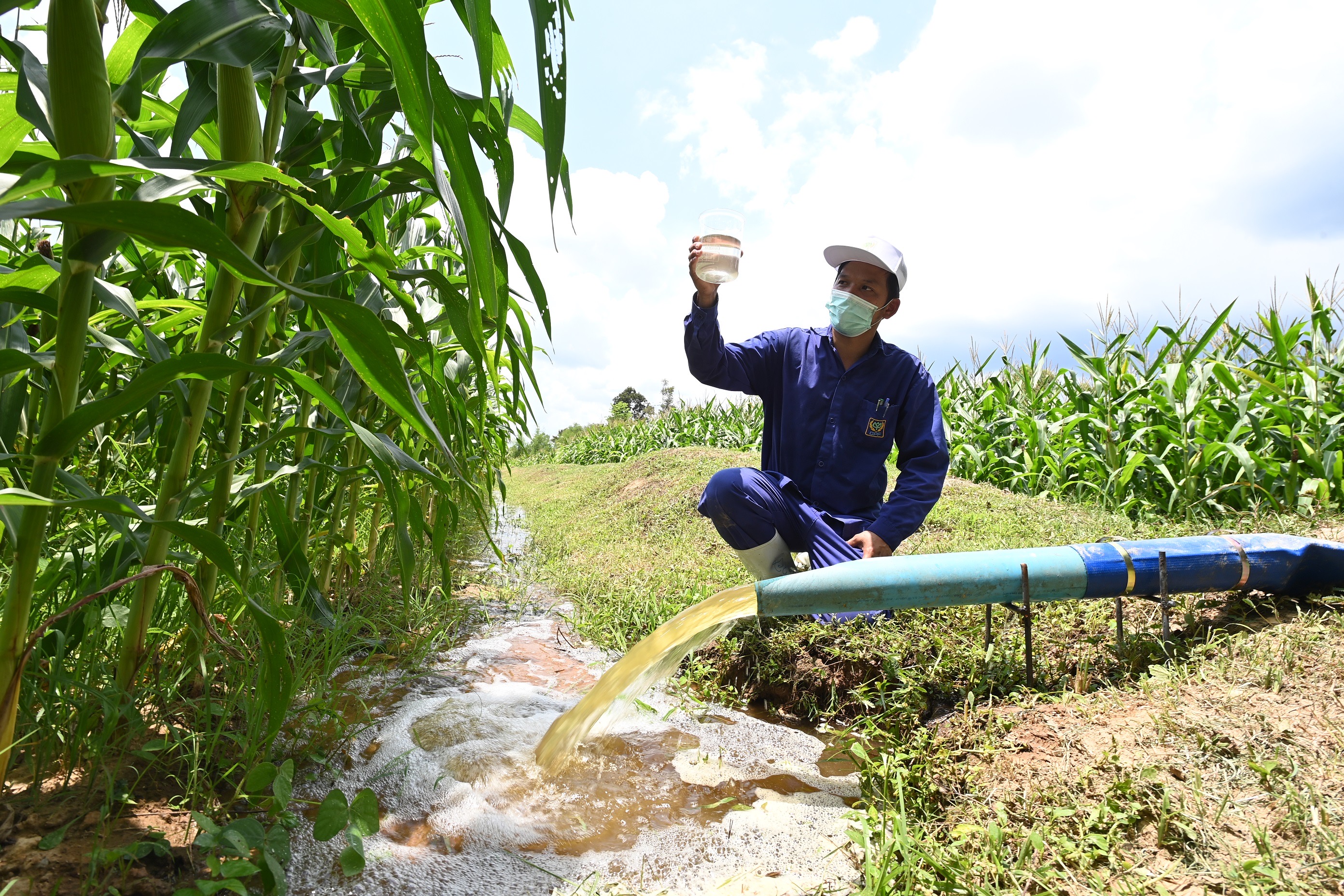 ปันน้ำปุ๋ย จากฟาร์มสุกรซีพีเอฟ ดูแลเกษตรกรสู้ภัยแล้ง ด้วยหลักเศรษฐกิจหมุนเวียน