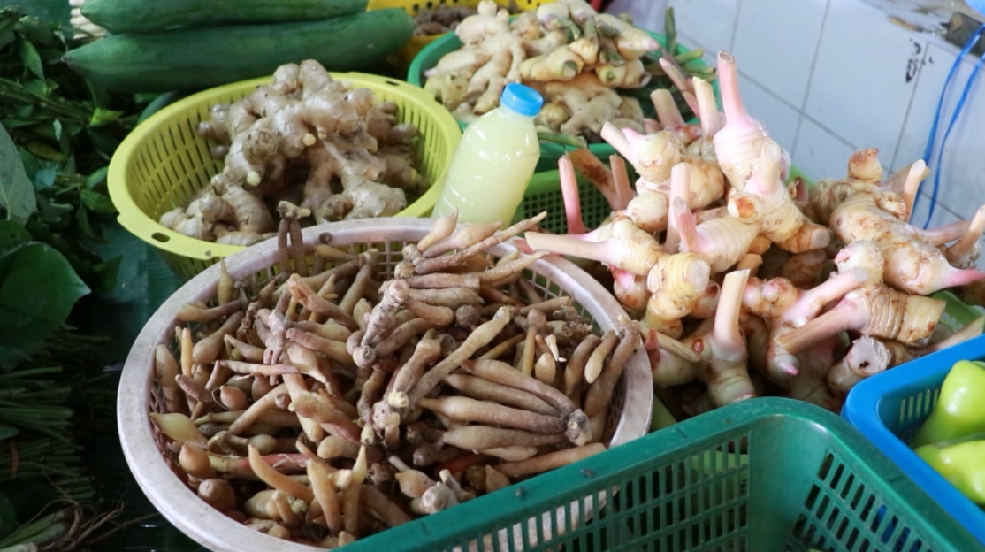 พิษณุโลก! ราคากระชายขาวพุ่งสูงกิโลกรัม 200 บาท