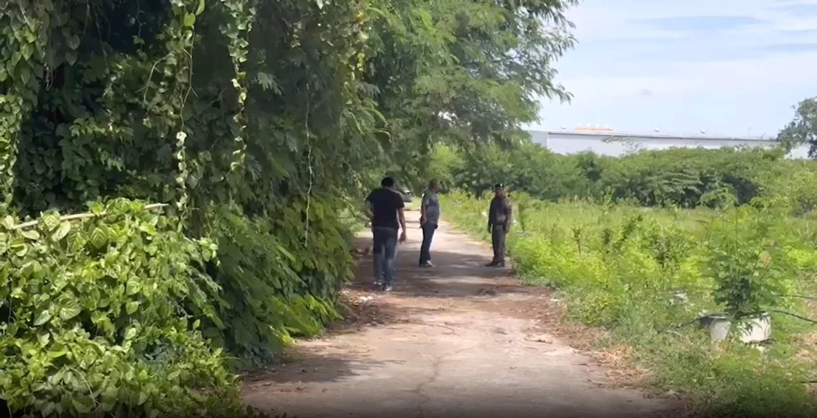 กระทรวงอว. สั่งเอาผิดรุ่นพี่รับน้องโหด วอนสังคมมั่นใจดำเนินการเต็มที่ กระทรวงอว. สั่งเอาผิดรุ่นพี่รับน้องโหด วอนสังคมมั่นใจดำเนินการเต็มที่