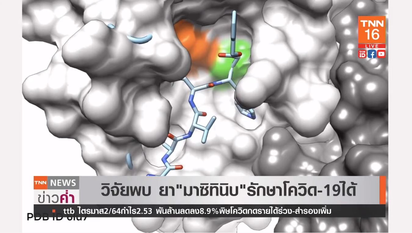 วิจัยพบ ยามาซิทินิบ รักษาโควิด19ได้ 