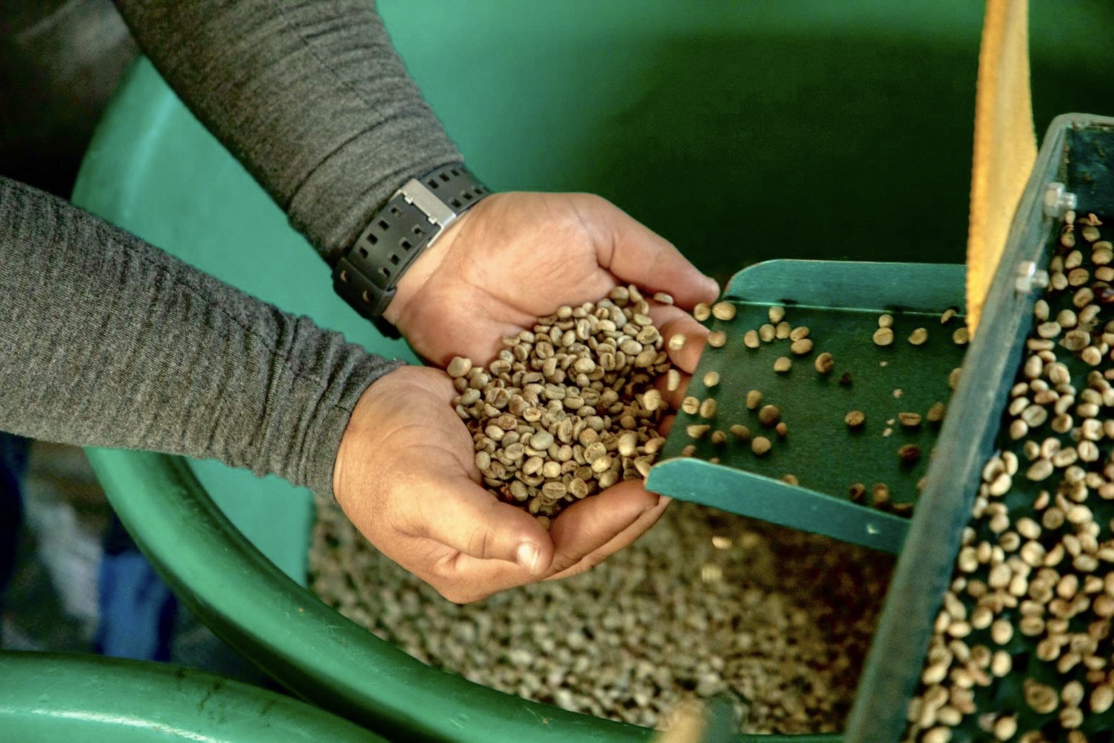 กาแฟสบขุ่น จ.น่าน ได้รับการรับรองคุณภาพกาแฟระดับดีมาก ในเวทีประกวดสุดยอดกาแฟไทย ปี 2565