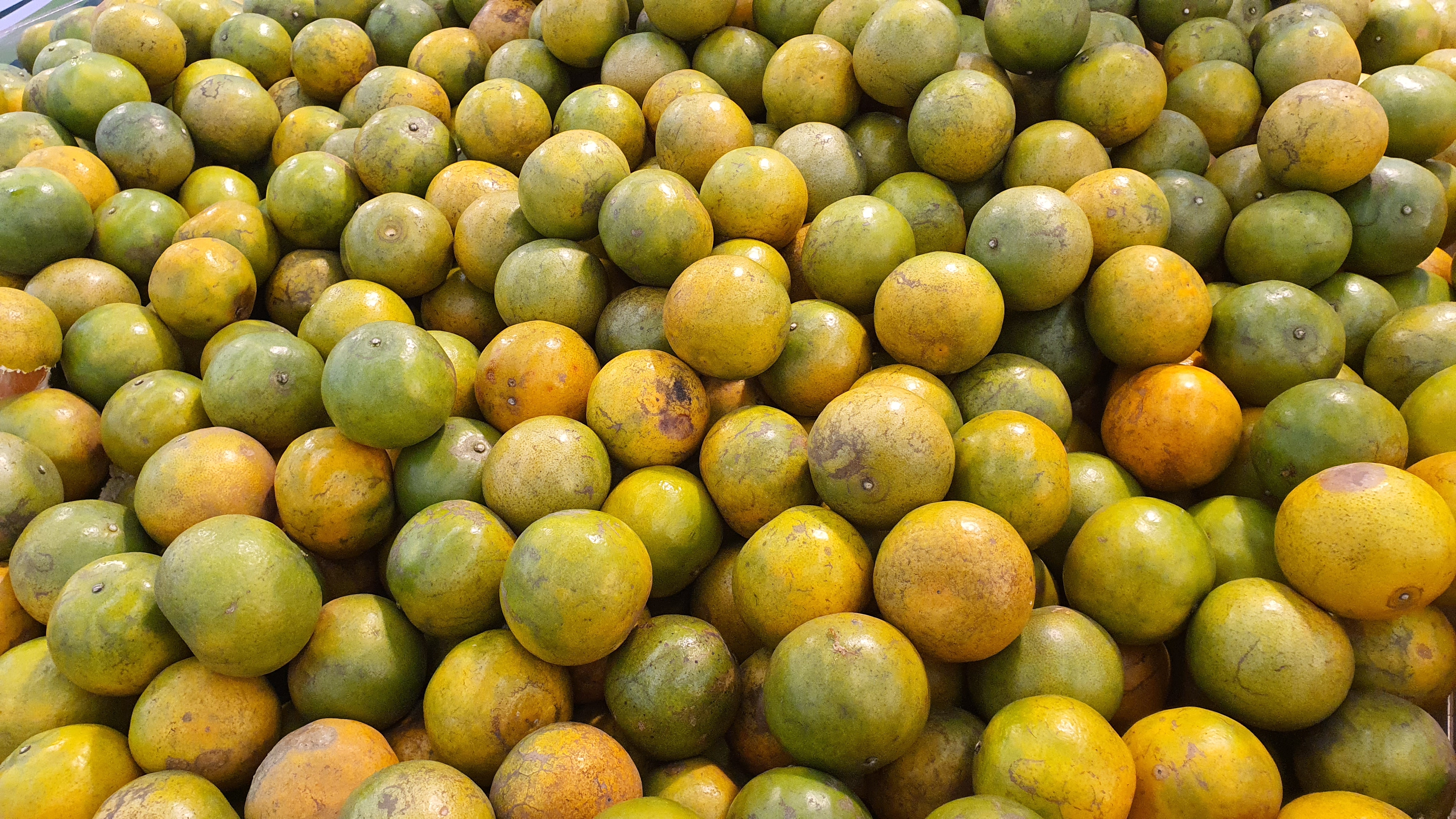 แชร์เทคนิค ออกกำลังกาย ง่ายๆได้ที่บ้าน หากไม่ต้องมีอุปกรณ์ก็ทำได้ 