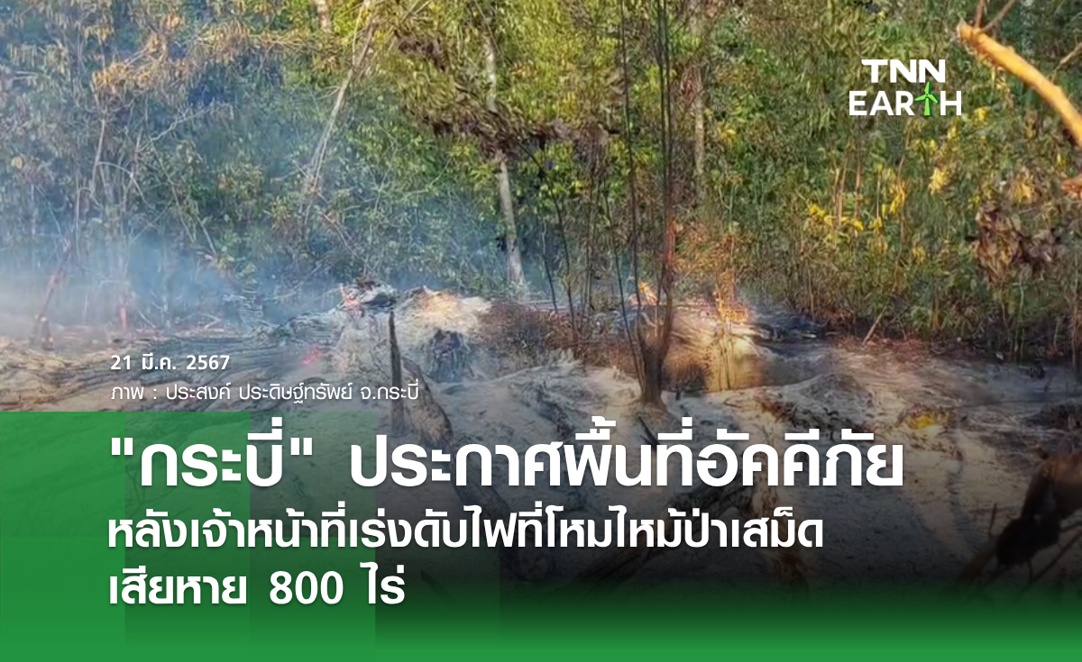 "กระบี่" ประกาศพื้นที่อัคคีภัย หลังเจ้าหน้าที่เร่งดับไฟที่โหมไหม้ป่าเสม็ด เสียหาย 800 ไร่