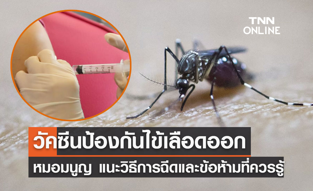 วัคซีนป้องกันไข้เลือดออก! หมอมนูญ แนะวิธีการฉีดและข้อห้ามที่ควรรู้