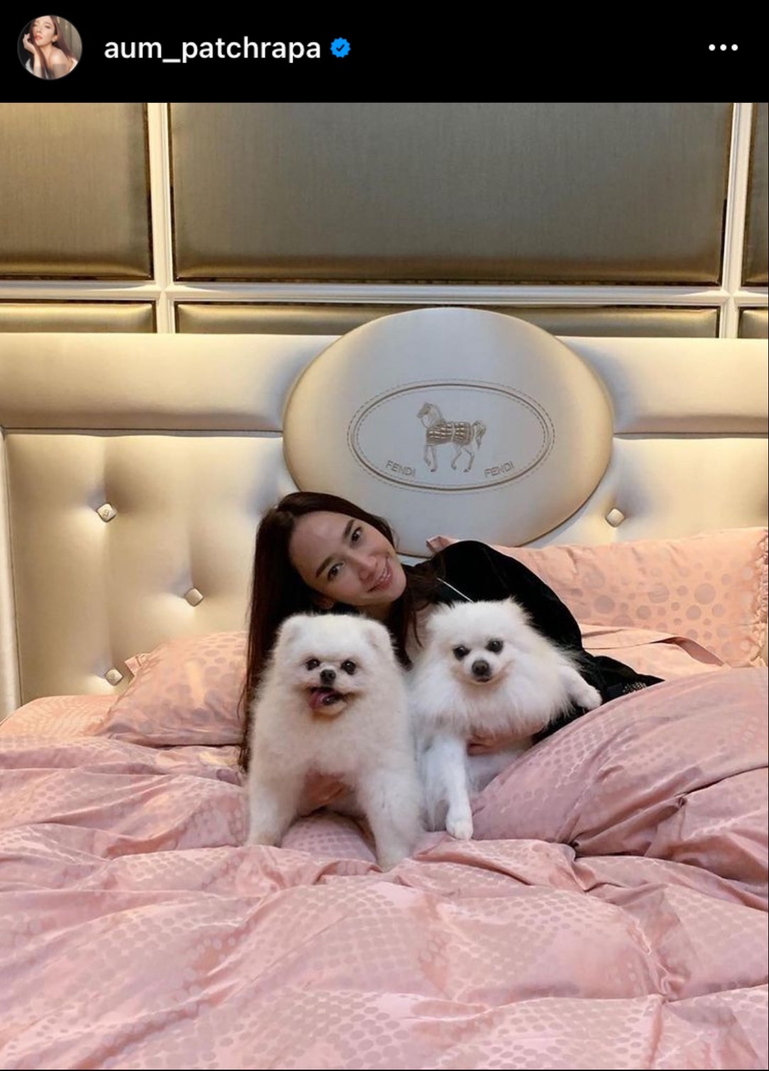 อั้ม พัชราภา ทำบุญให้ผู้เสียชีวิตเหตุกราดยิงที่หนองบัวลำภูและ ไตเติ้ล สุนัขตัวโปรด อั้ม พัชราภา ทำบุญให้ผู้เสียชีวิตเหตุกราดยิงที่หนองบัวลำภูและ ไตเติ้ล สุนัขตัวโปรด