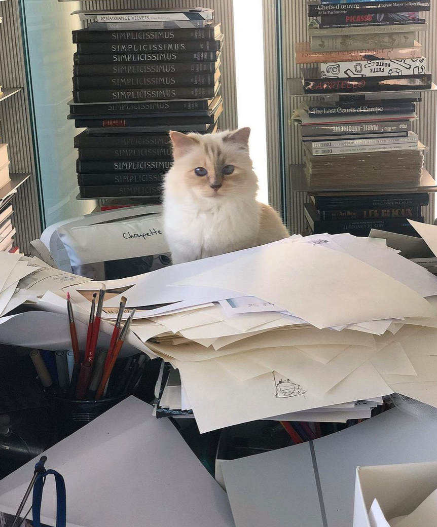 Met Gala 2023 เปิดที่มาชุดแมวของ Jared Leto น่ารักสตอรี่ดี! Met Gala 2023 เปิดที่มาชุดแมวของ Jared Leto น่ารักสตอรี่ดี!