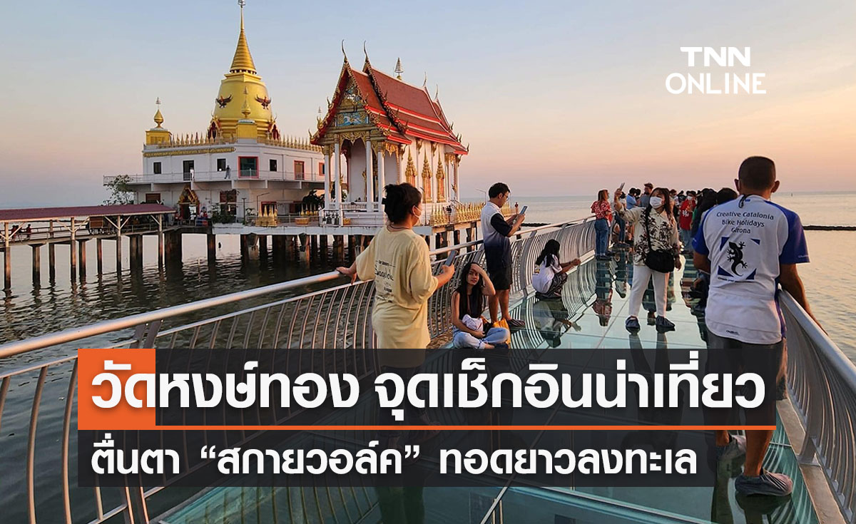 วัดหงษ์ทอง แลนด์มาร์คน่าเที่ยวบางปะกง “สกายวอล์ก” ทอดยาวลงทะเล