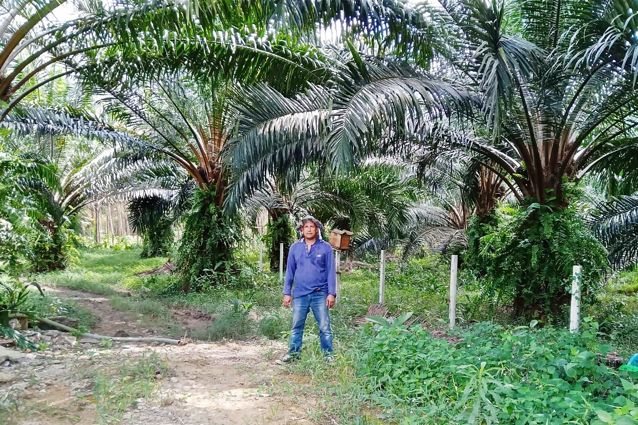 ซีพีเอฟ เดินหน้า “โครงการปันน้ำปุ๋ยสู่เกษตรกร” หนุนใช้น้ำอย่างรู้คุณค่า ซีพีเอฟ เดินหน้า “โครงการปันน้ำปุ๋ยสู่เกษตรกร” หนุนใช้น้ำอย่างรู้คุณค่า