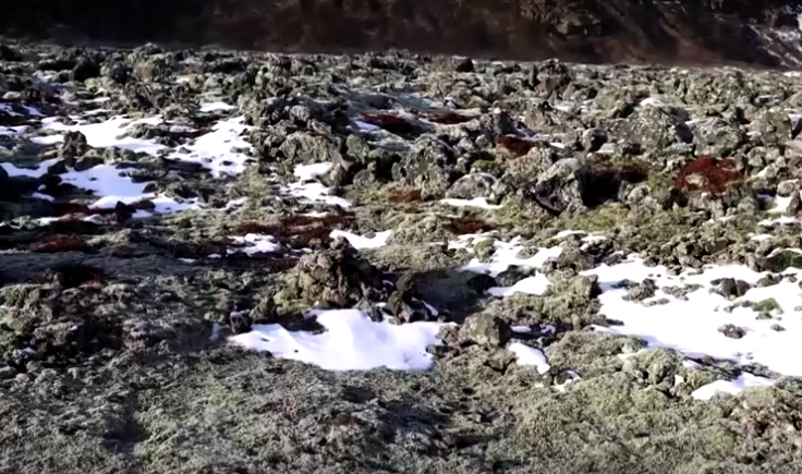 แผ่นดินไหวมากกว่า 5 หมื่นครั้งเขย่าไอซ์แลนด์ ภูเขาไฟใกล้ระเบิด แผ่นดินไหวมากกว่า 5 หมื่นครั้งเขย่าไอซ์แลนด์ ภูเขาไฟใกล้ระเบิด