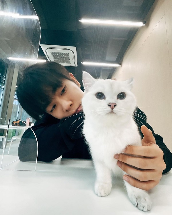 “เอิร์ท – มิกซ์” คลั่งรักแมว เปย์หนักสร้างห้อง250,000 บาท (มีคลิป) “เอิร์ท – มิกซ์” คลั่งรักแมว เปย์หนักสร้างห้อง250,000 บาท (มีคลิป)