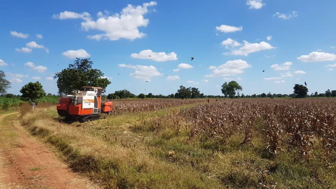 ซีพีเอฟ ร่วมกับคู่ค้าธุรกิจ ส่งเสริมเกษตรกรปลูกข้าวโพดใช้ไถกลบตอซังแทนการเผา ซีพีเอฟ ร่วมกับคู่ค้าธุรกิจ ส่งเสริมเกษตรกรปลูกข้าวโพดใช้ไถกลบตอซังแทนการเผา