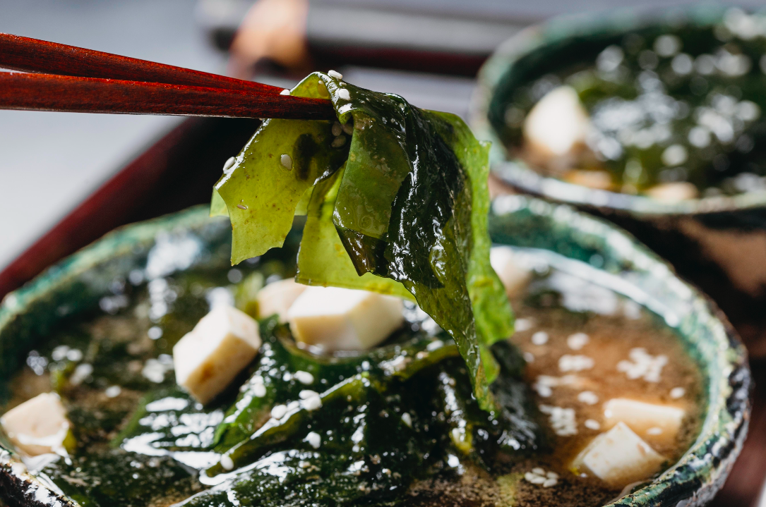 วันนี้ฝนตกไหม? ฤดูฝนต้องไม่พลาด! 5 อาหารดูแลตัวเอง ไม่ให้ป่วย วันนี้ฝนตกไหม? ฤดูฝนต้องไม่พลาด! 5 อาหารดูแลตัวเอง ไม่ให้ป่วย