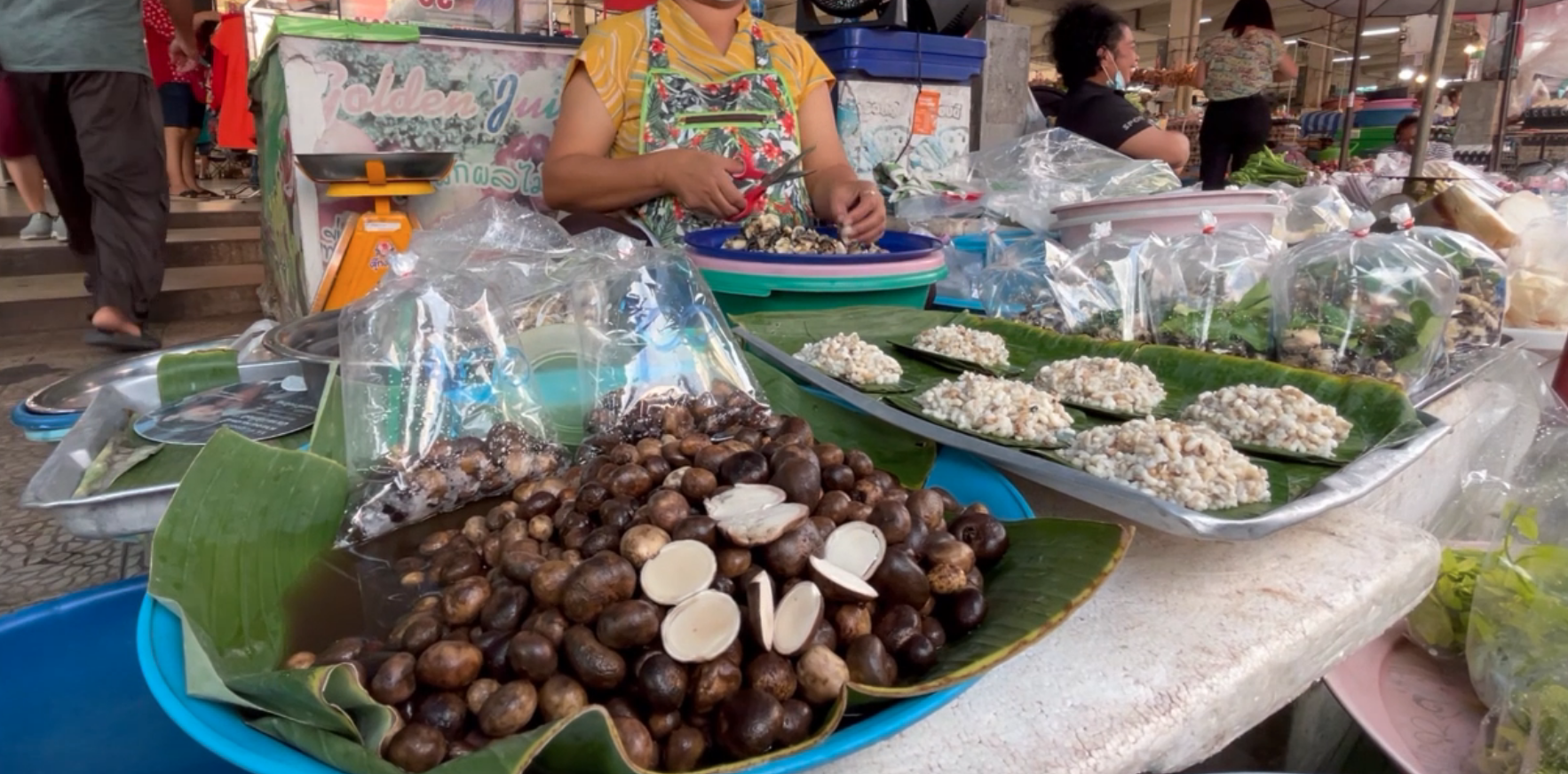 เปิดประโยขน์ ‘เห็ดเผาะ’ ของอร่อยฤดูฝน ‘ต้านมะเร็ง-ชะลอแก่’