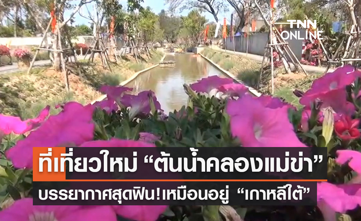 ที่เที่ยวเชียงใหม่  “ต้นน้ำคลองแม่ข่า” บรรยากาศฟินๆเหมือนอยู่เกาหลี