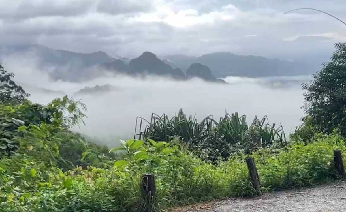 ชมทะเลหมอก ล่องห่วงยางสัมผัสธรรมชาติเขาสก ชมทะเลหมอก ล่องห่วงยางสัมผัสธรรมชาติเขาสก