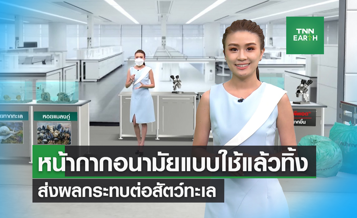 หน้ากากอนามัยแบบใช้แล้วทิ้ง ส่งผลกระทบต่อสัตว์ทะเล