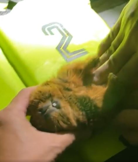 พิษพายุไลออนร็อก!! ฝันดี-ฝันเด่น เจอเรื่องสะเทือนใจ หลังลงพื้นที่ช่วยน้ำท่วมที่จันทบุรี