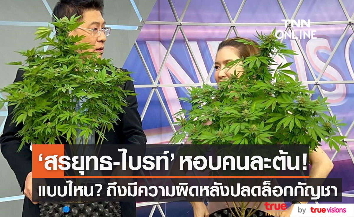 แบบไหนมีความผิด?! 9 มิ.ย. ปลดล็อกกัญชา "สรยุทธ-ไบรท์" หอบกลับคนละต้น!