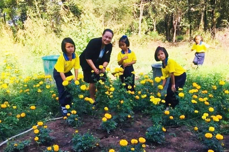 โรงเรียนบ้านแก้วเพชรพลอย จ.สระแก้ว สอนทักษะอาชีพ-สร้างคลังอาหาร “โครงการเลี้ยงไก่ไข่เพื่ออาหารกลางวันนักเรียน”