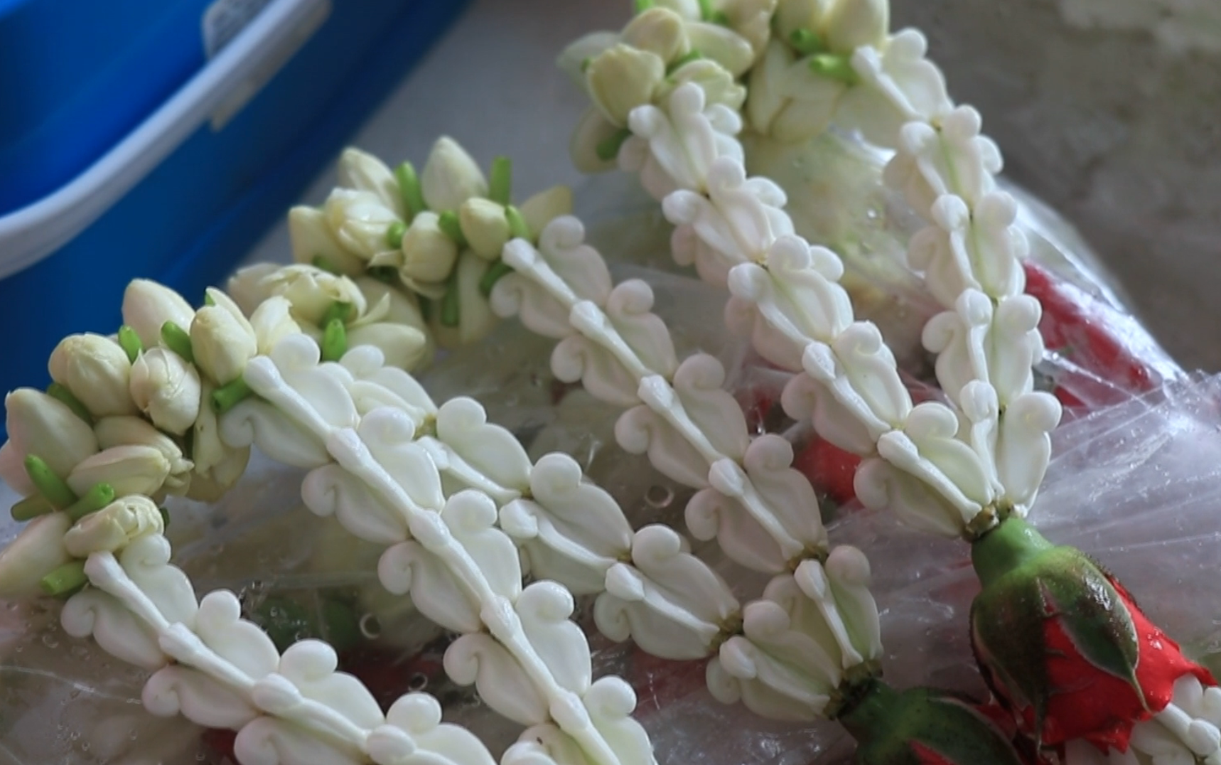 “ดอกมะลิ” ปรับราคาขึ้น!คาดวันแม่พุ่งกก.ละ 1,500 บาท “ดอกมะลิ” ปรับราคาขึ้น!คาดวันแม่พุ่งกก.ละ 1,500 บาท