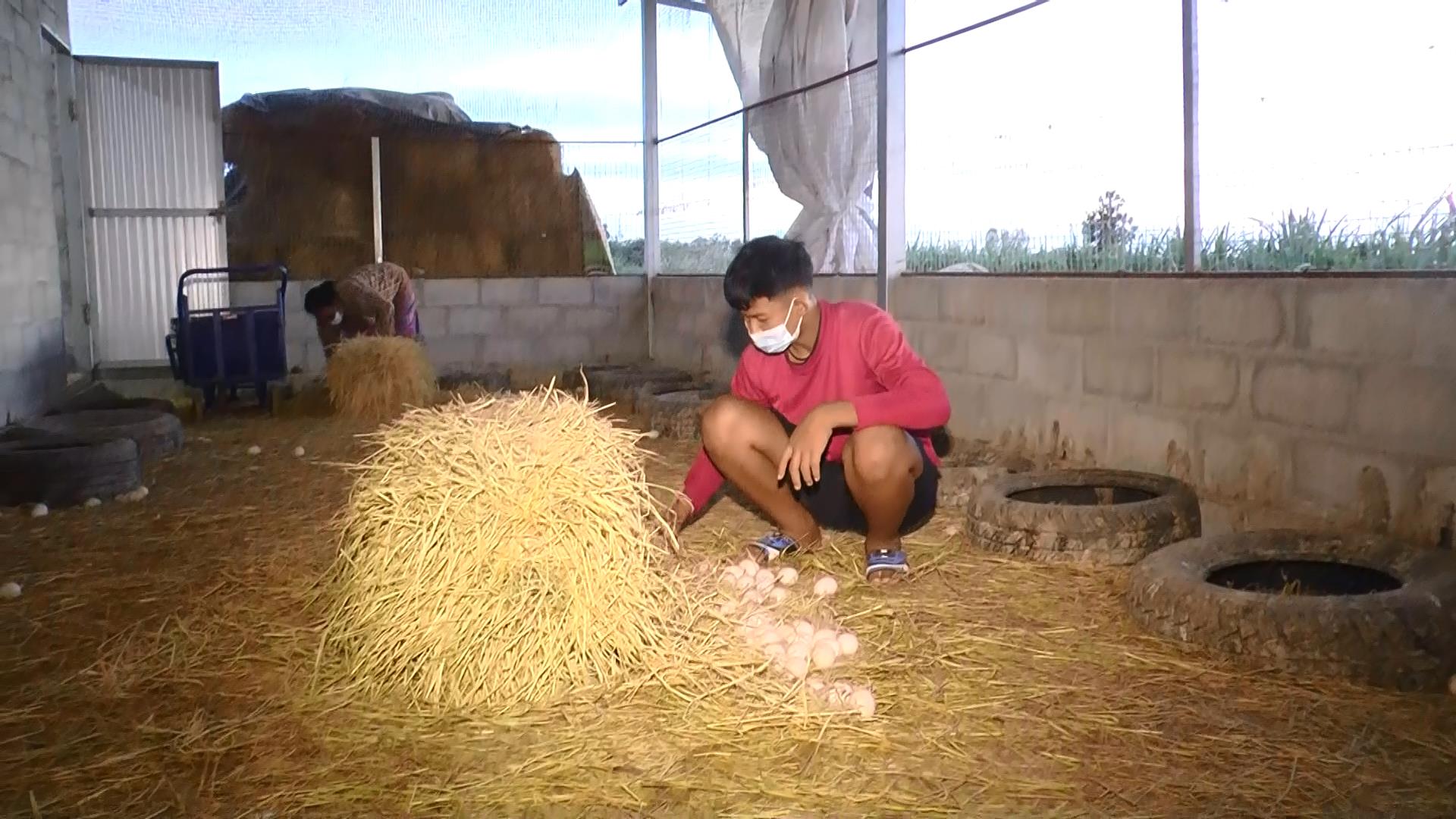 เรื่องราวดีๆ! ครูสอนดนตรีไทย ในฟาร์มเป็ด สร้างรายได้เสริมให้เด็กยุคโควิด เรื่องราวดีๆ! ครูสอนดนตรีไทย ในฟาร์มเป็ด สร้างรายได้เสริมให้เด็กยุคโควิด