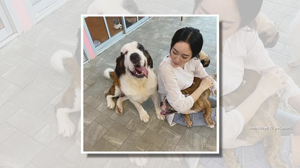 “แก้มบุ๋ม” เผยเปิดคาเฟ่สัตว์ เพราะความรักหมาแมว  (มีคลิป)