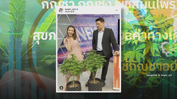 9 มิ.ย. ปลดล็อกกัญชาวันแรก “สรยุทธ-ไบรท์-แทค-โจอี้บอย-มาลีฮวนน่า” ตื่นตัว   (มีคลิป)