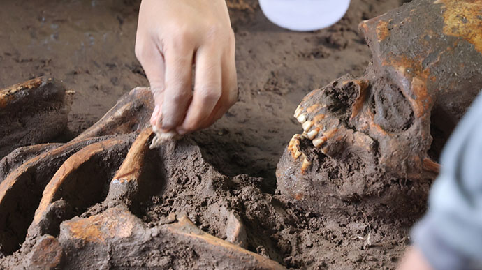 แลนด์มาร์คใหม่โคราช! แหล่งขุดพบโครงกระดูกมนุษย์โบราณ 2 พันปี แลนด์มาร์คใหม่โคราช! แหล่งขุดพบโครงกระดูกมนุษย์โบราณ 2 พันปี