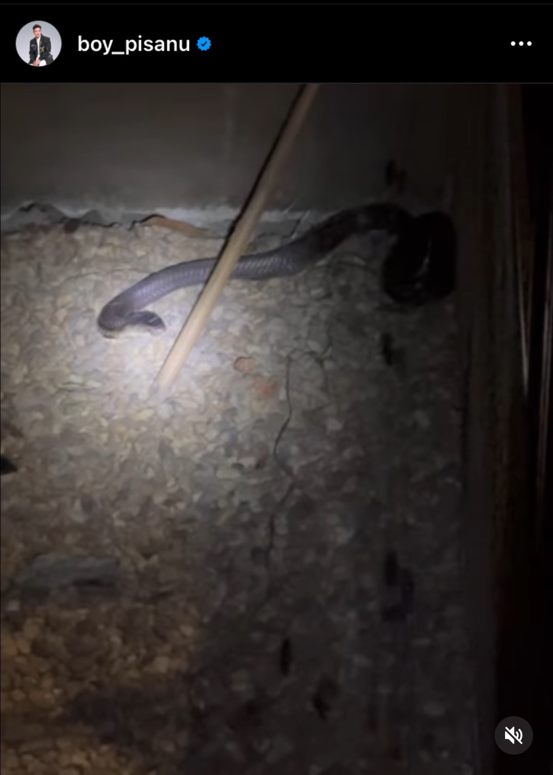 บอย พิษณุ โพสต์คลิปหลอน งูเข้าบ้าน 2 ตัวซ้อน ล่าสุดกู้ภัยเข้ามาจัดการแล้ว บอย พิษณุ โพสต์คลิปหลอน งูเข้าบ้าน 2 ตัวซ้อน ล่าสุดกู้ภัยเข้ามาจัดการแล้ว