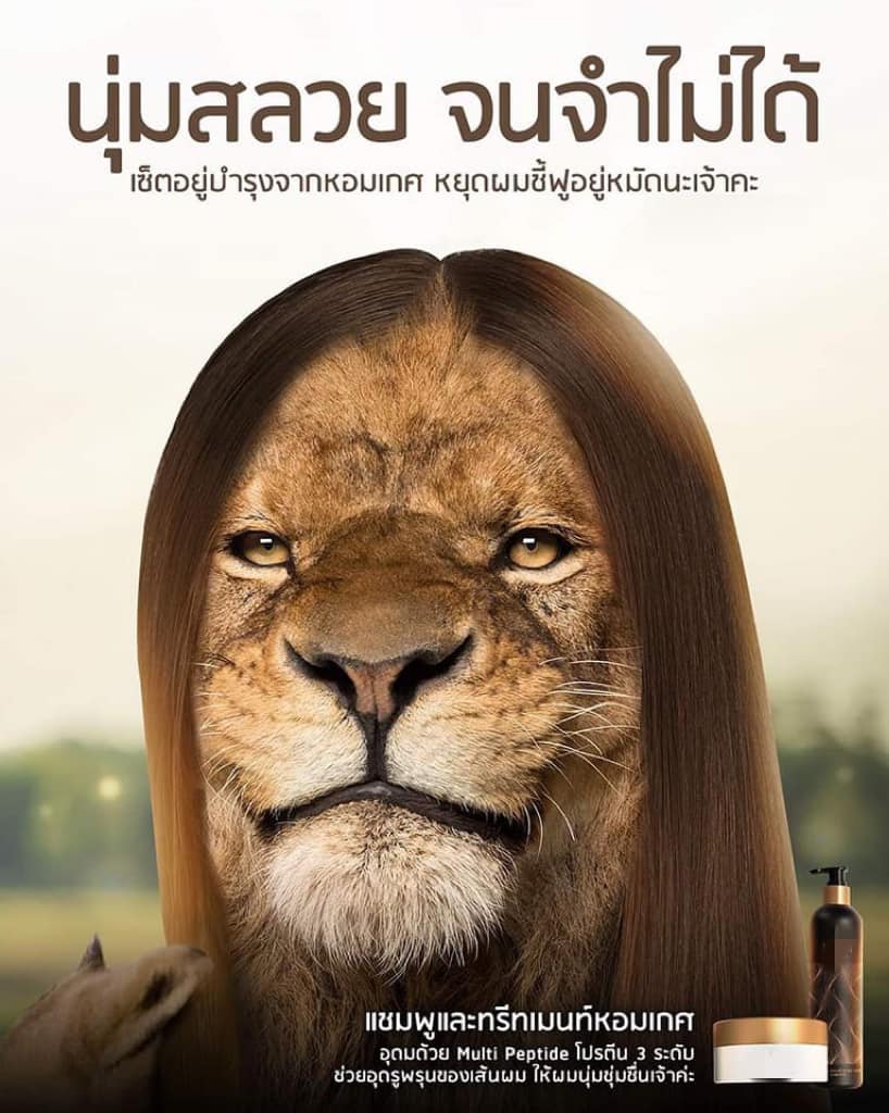 แม่หญิงลี ควันออกหู หลังโดนชาวเน็ตแกง ด้วยภาพนี้!? แม่หญิงลี ควันออกหู หลังโดนชาวเน็ตแกง ด้วยภาพนี้!?