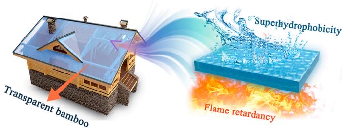 จีนพัฒนากระจกใสจากไม้ไผ่ ! ประโยชน์ล้ำ อนาคตอาจมาแทนที่กระจกจากซิลิกา จีนพัฒนากระจกใสจากไม้ไผ่ ! ประโยชน์ล้ำ อนาคตอาจมาแทนที่กระจกจากซิลิกา