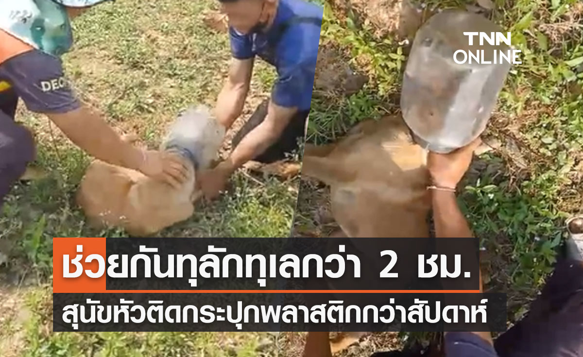 ชื่นชม! ผู้ใจบุญกว่า 10 คนช่วย "สุนัข" หัวติดกระปุกพลาสติกนานกว่าสัปดาห์