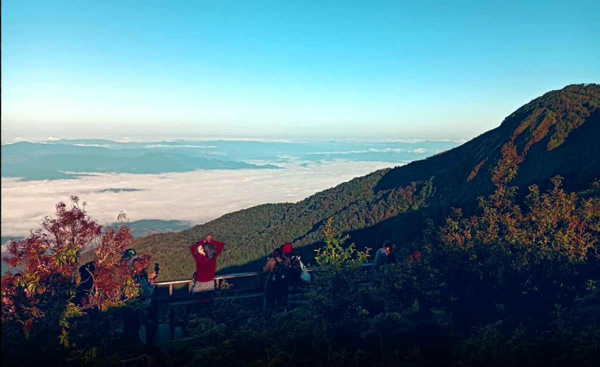 ชมทะเลหมอก เส้นทางศึกษาธรรมชาติกิ่วแม่ปาน เปิดวันแรก ชมทะเลหมอก เส้นทางศึกษาธรรมชาติกิ่วแม่ปาน เปิดวันแรก