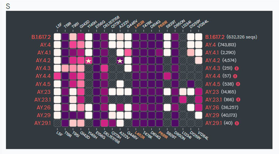 ดร.อนันต์ ไขความลับ เดลตาพลัส คาดแพร่ไวกว่าสายพันธุ์ดั้งเดิม 10-15%