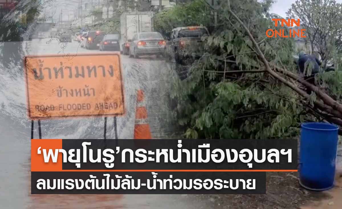 ‘พายุโนรู’เข้าไทย เปิดภาพเมืองอุบลราชธานีอ่วม!ต้นไม้ล้ม-น้ำท่วมรอระบาย