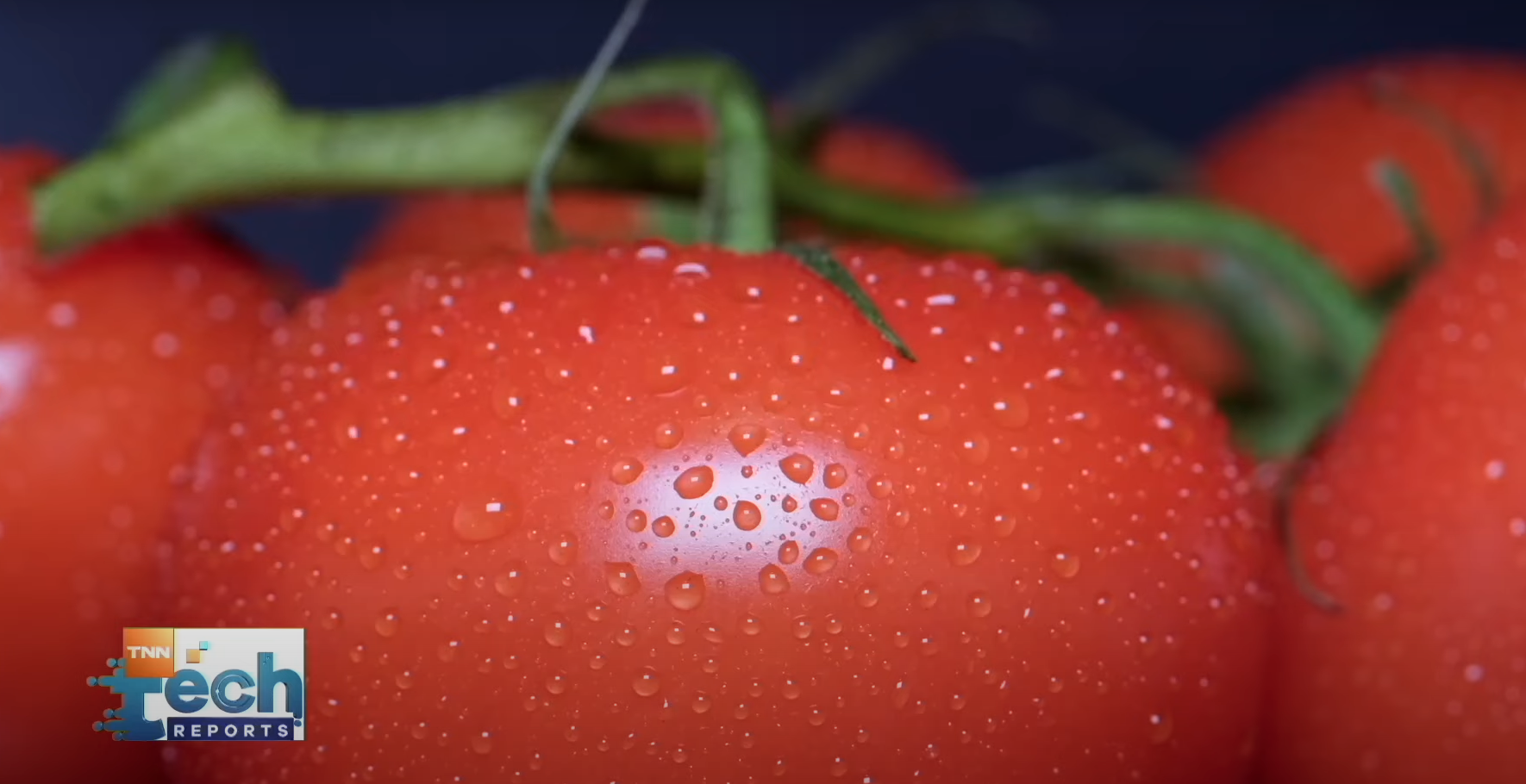 รวมเทคโนโลยีทำการเกษตรยุคใหม่ เพิ่มคุณผลผลิตสู่ระดับพรีเมียม | TNN Tech Reports รวมเทคโนโลยีทำการเกษตรยุคใหม่ เพิ่มคุณผลผลิตสู่ระดับพรีเมียม | TNN Tech Reports