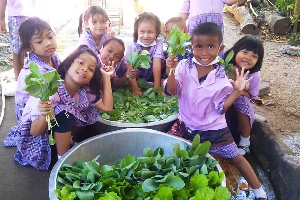 โรงเรียนบ้านแก้วเพชรพลอย จ.สระแก้ว สอนทักษะอาชีพ-สร้างคลังอาหาร “โครงการเลี้ยงไก่ไข่เพื่ออาหารกลางวันนักเรียน”