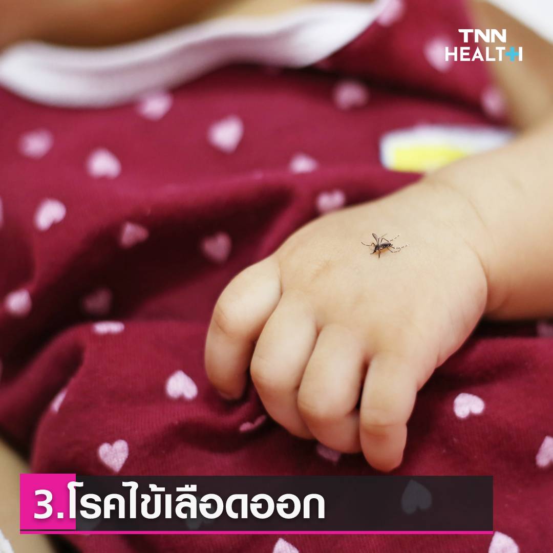 ุ6 โรคมาพร้อมฤดูฝน ป้องกันไว้ก่อนเจ็บป่วย ุ6 โรคมาพร้อมฤดูฝน ป้องกันไว้ก่อนเจ็บป่วย