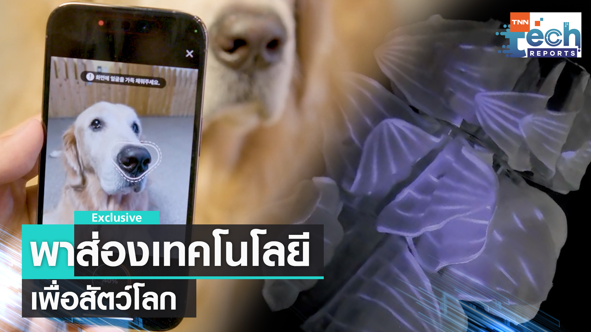 ส่องนวัตกรรมเพื่อสัตว์โลก |TNN Tech Reports
