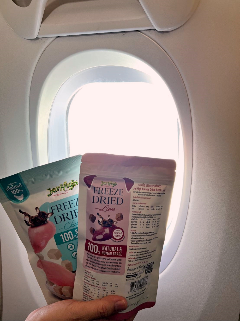 JerHigh x Nok Air เปิดไฟลท์พิเศษ พามะหมาตัวโปรด ลัดฟ้าแอ่วเชียงใหม่