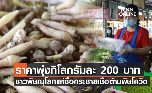 แห่ซื้อ "กระชายขาว" ราคาพุ่งกิโลกรัมละ 200 บาท เชื่อสรรพคุณต้านโควิด