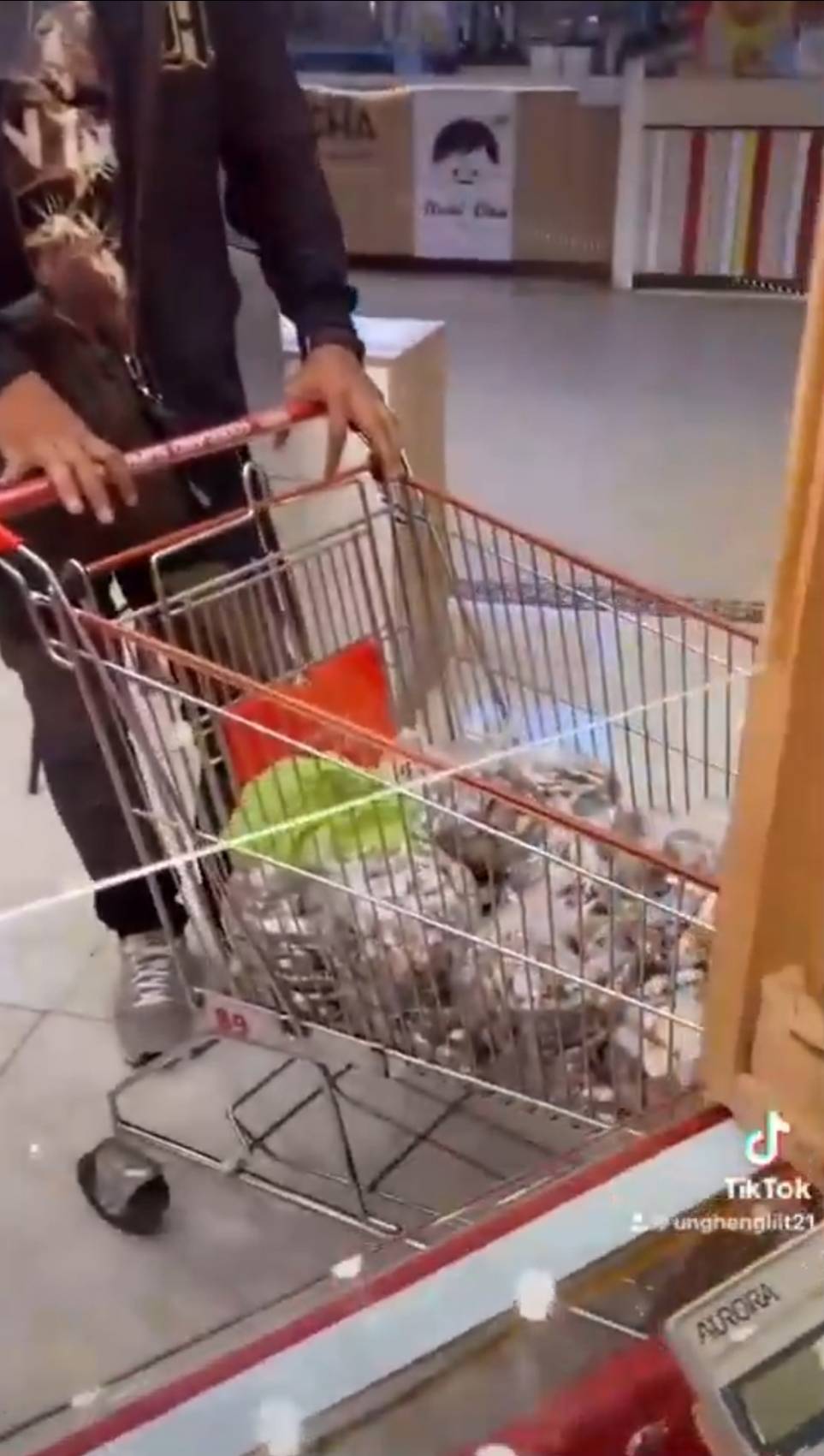 ฮือฮา! สามี-ภรรยา หอบเงินเหรียญกว่า1.2 แสนบาท ซื้อทองคำที่โคราช