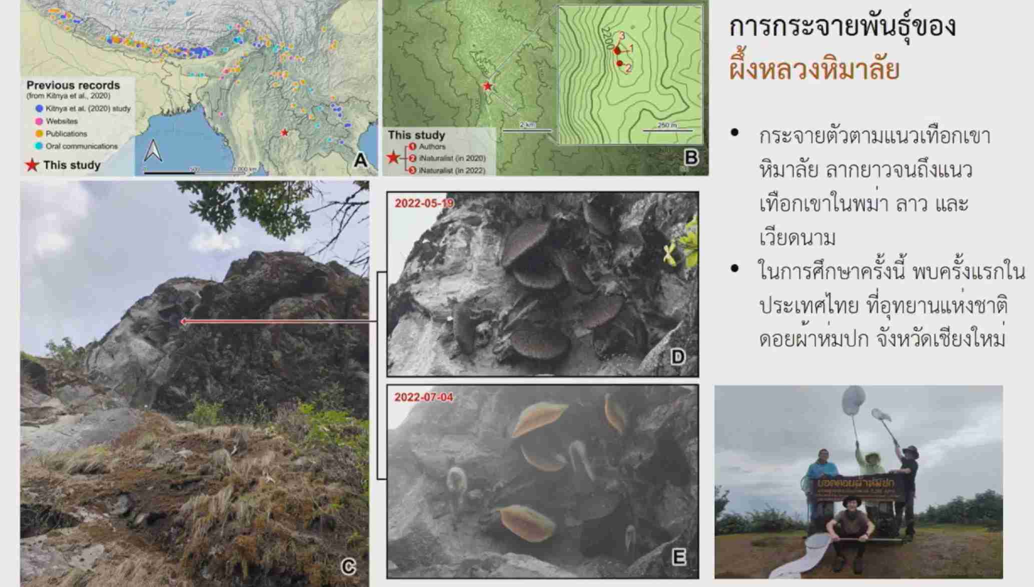 ครั้งแรกในไทย! กรมอุทยานแห่งชาติสัตว์ป่าฯ แถลงพบ ผึ้งหลวงหิมาลัย ครั้งแรกในไทย! กรมอุทยานแห่งชาติสัตว์ป่าฯ แถลงพบ ผึ้งหลวงหิมาลัย