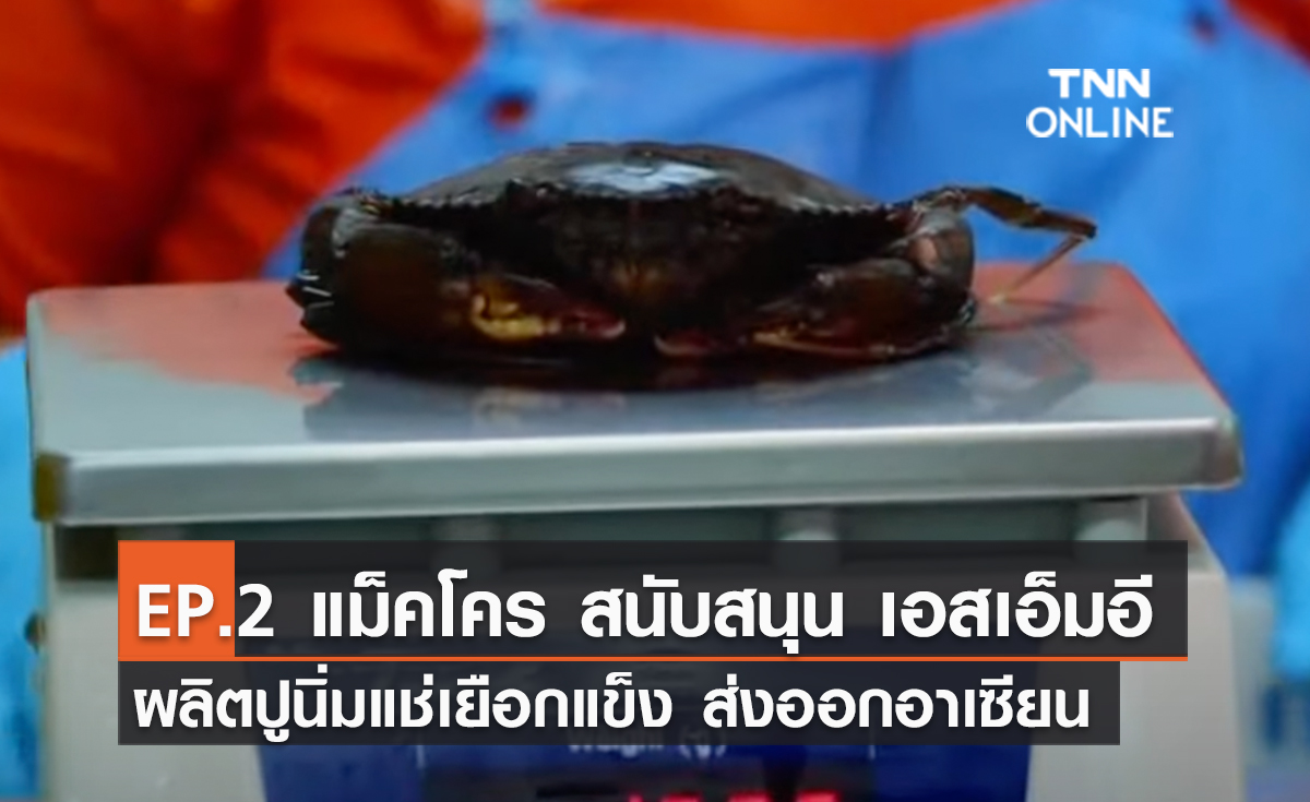 (คลิป) EP.2 แม็คโคร สนับสนุน เอสเอ็มอี ผลิตปูนิ่มแช่เยือกแข็ง ส่งออกอาเซียน #แม็คโคร #MAKRO #แม็คโครคู่คิดธุรกิจคุณ