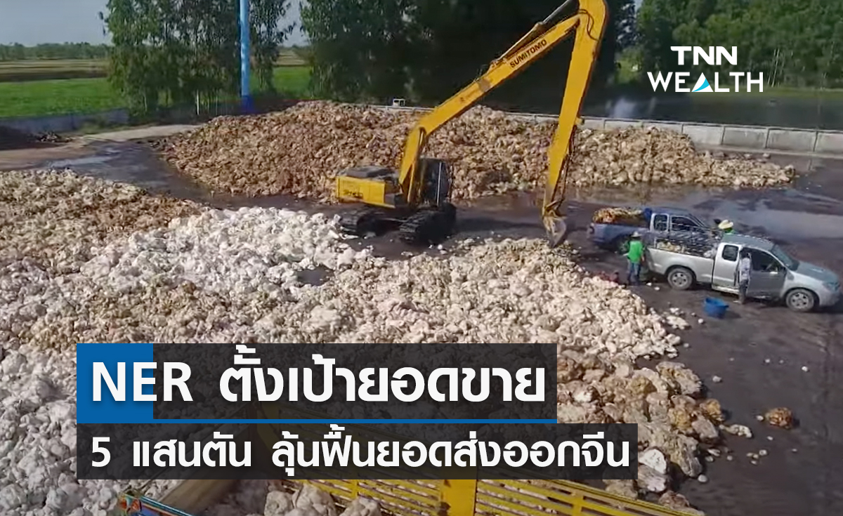 "NER" ตั้งเป้ายอดขาย 5 แสนตัน ลุ้นฟื้นยอดส่งออกจีน