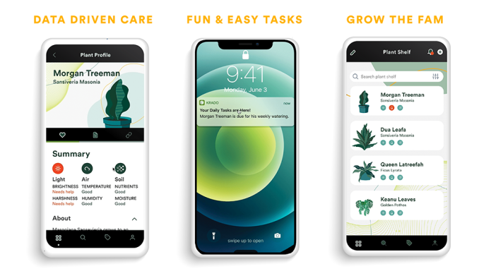 ตะมุตะมิ ! KRADO เซนเซอร์ช่วยเช็กสุขภาพต้นไม้