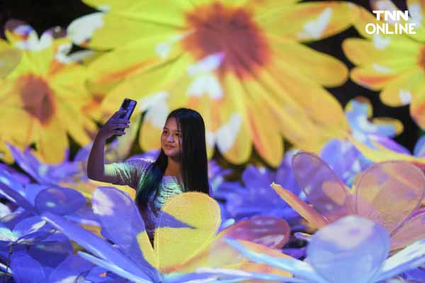 อลังการงานไฟฝีมือคนไทย Nasatta Light Festival Winter Illumination ที่ ณ สัทธา อุทยานไทย จังหวัดราชบุรี